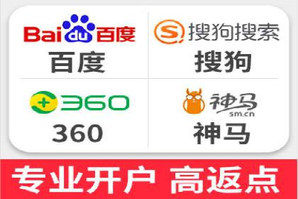 解析某某SEM服务公司的广告投放策略与效果评估